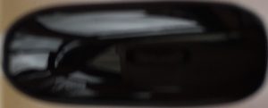 023. Baby Bell 'Black Licorice' - Best Seller